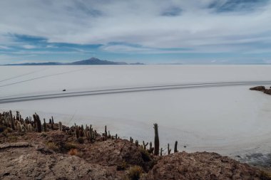 UYUNI, BOLIVIA - CIRCA NOVEMBER 2019: Salar de Uyuni 'nin ortasındaki Incahuasi kaktüs adası güneşli bir günde bulutlu mavi gökyüzü.