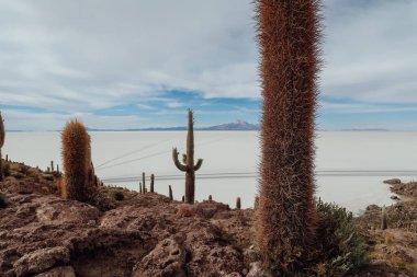 UYUNI, BOLIVIA - CIRCA NOVEMBER 2019: Salar de Uyuni 'nin ortasındaki Incahuasi kaktüs adası güneşli bir günde bulutlu mavi gökyüzü.