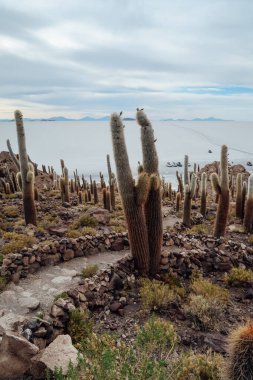 UYUNI, BOLIVIA - CIRCA NOVEMBER 2019: Salar de Uyuni 'nin ortasındaki Incahuasi kaktüs adası güneşli bir günde bulutlu mavi gökyüzü.