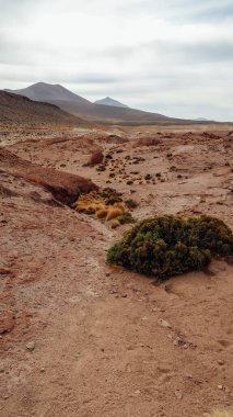 UYUNI, BOLIVIA - CIRCA NOVEMBER 2019: Güneşli bir günde Bolivya Altiplano 'da bulutlu mavi gökyüzü ile terk edilmiş toprak erozyonu.