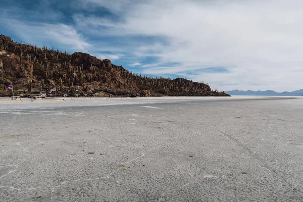 Uyuni Bolivie Circa Novembre 2019 Île Cactus Incahuasi Milieu Désert — Photo
