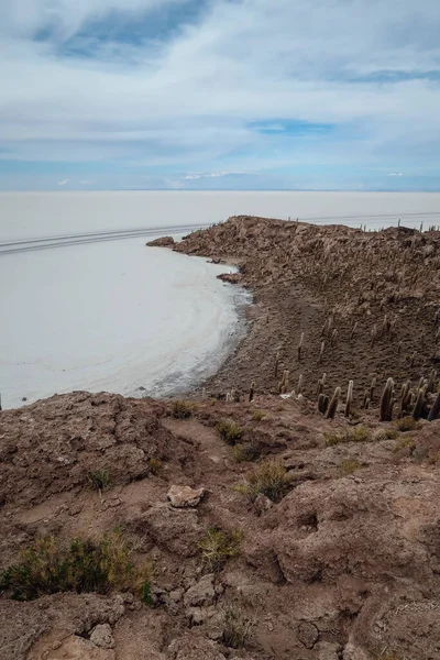 Uyuni Bolivia Circa November 2019 Incahuasi Cactus Eiland Het Midden — Stockfoto