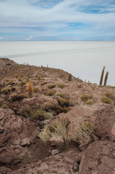 Uyuni Bolivia Circa November 2019 Salar Uyuni Nin Ortasındaki Incahuasi — Stok fotoğraf
