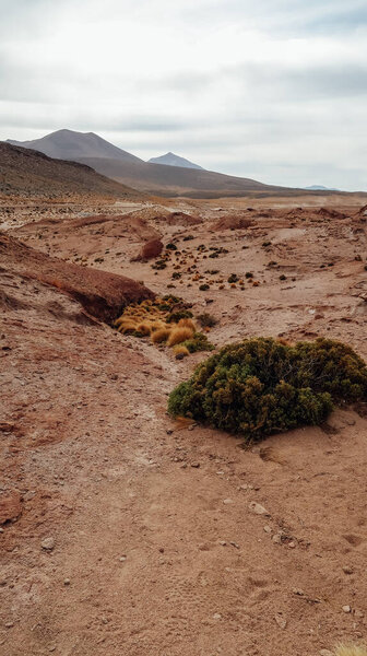 УЮНИ, БОЛИВИЯ - CIRCA NOVEMBER 2019: Desorted earth erosion in Bolivian Altiplano on a sunny day with blue sky with clouds
.