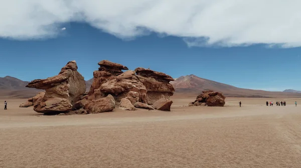 Altiplano Bolivia Circa November 2019 Arvaroa Andean Fauna National Reserve — 스톡 사진