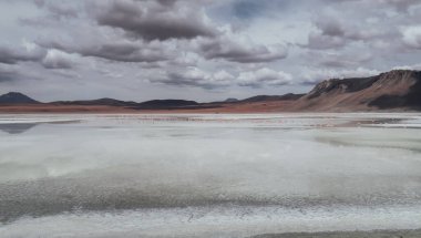 ALTIPLANO, BOLIVIA - CIRCA NOVEMBER 2019: Laguna Blanca 'nın (Beyaz Göl) kıyıdan pembe flamingolarla manzarası.