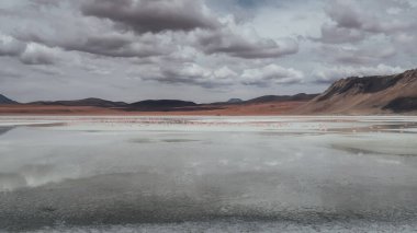 ALTIPLANO, BOLIVIA - CIRCA NOVEMBER 2019: Laguna Blanca 'nın (Beyaz Göl) kıyıdan pembe flamingolarla manzarası.
