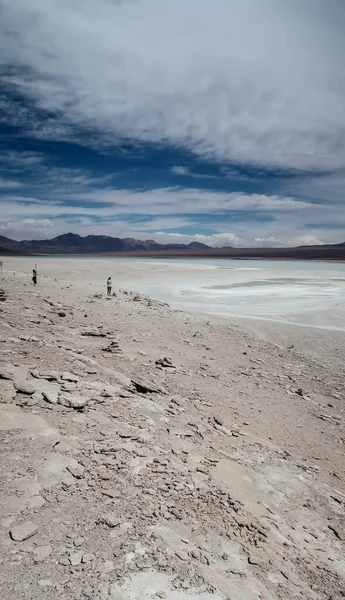 Altiplano Bolivia Circa Kasım 2019 Arka Planda Dağ Ile Birlikte — Stok fotoğraf