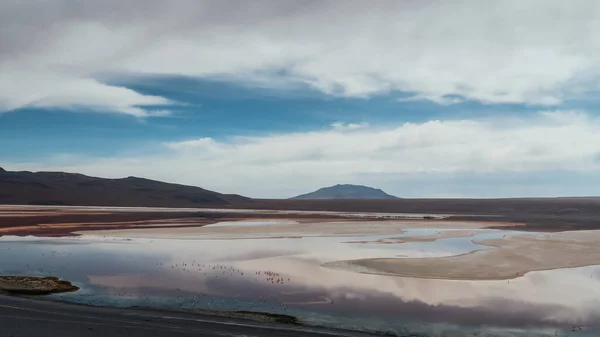 Altiplano Bolívia Circa Novembro 2019 Vista Laguna Colorada Lagoa Vermelha — Fotografia de Stock