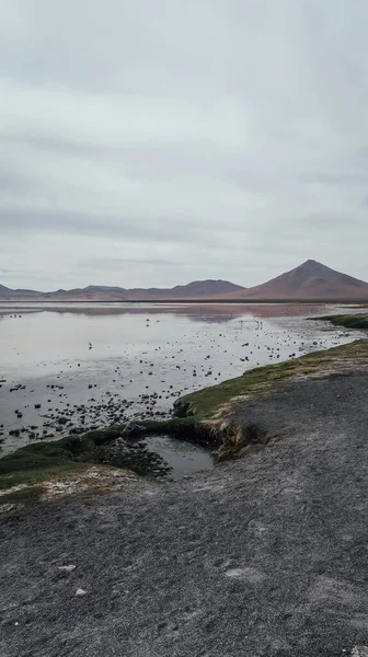 Altiplano Bolívia Circa Novembro 2019 Vista Laguna Colorada Lagoa Vermelha — Fotografia de Stock