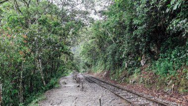 MACHU PICCHU, PERU - CIRCA Kasım 2019: Machu Picchu Pueblo 'ya giden demiryolu boyunca yeşil dağlı manzara.