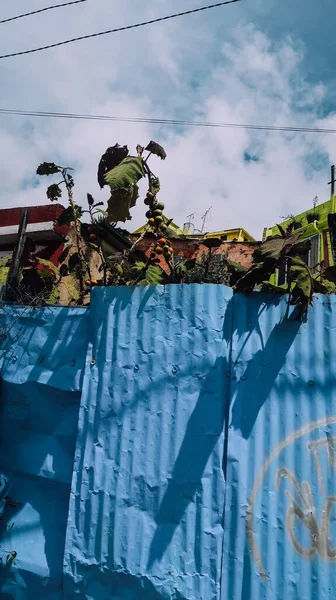 Bogota Colombia Circa November 2019 Muur Felblauwe Kleur Geschilderd Favela — Stockfoto