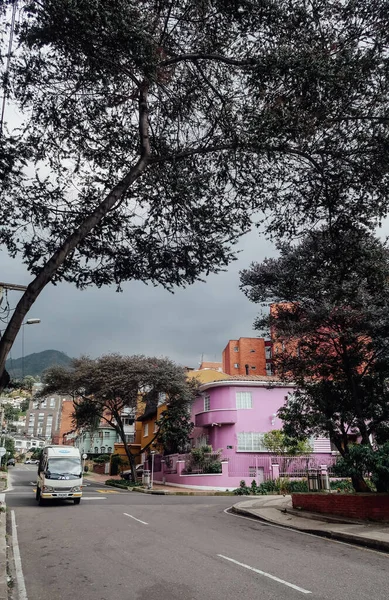 Bogota Colombia Circa Novembre 2019 Fiori Rosa Acceso Strada Nel — Foto Stock