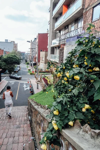 Bogota Colombia Circa November 2019 거리에 과보고 중심부에 피네로 — 스톡 사진