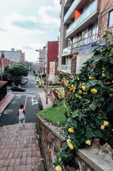 Bogota Colombia Circa November 2019 거리에 과보고 중심부에 피네로 — 스톡 사진