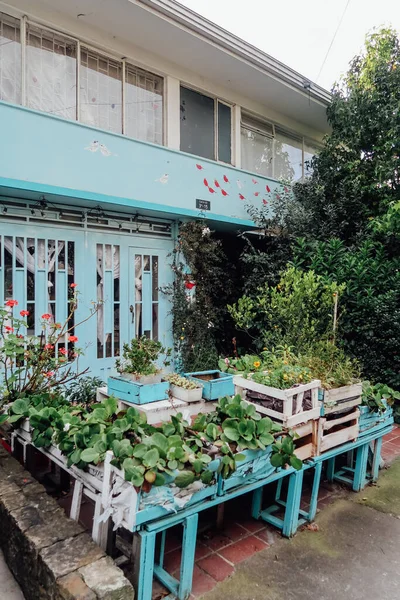 Bogota Colombie Circa Novembre 2019 Façade Bleu Vif Avec Des — Photo