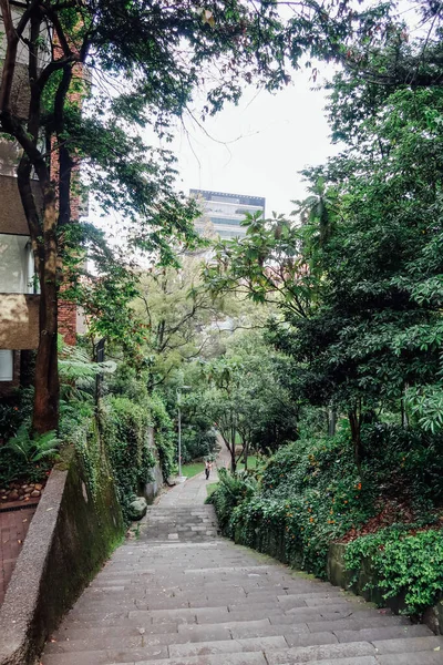 Bogota Colômbia Circa Novembro 2019 Rua Lateral Com Escadas Jardim — Fotografia de Stock