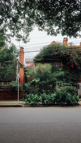 Bogota Colombia Circa November 2019 Empty Street Townhouses Many Green — Stock Photo, Image