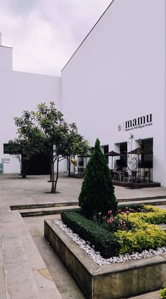 Bogota Colombia Circa Aralık 2019 Bogota Nın Merkezindeki Botero Müzesi — Stok fotoğraf