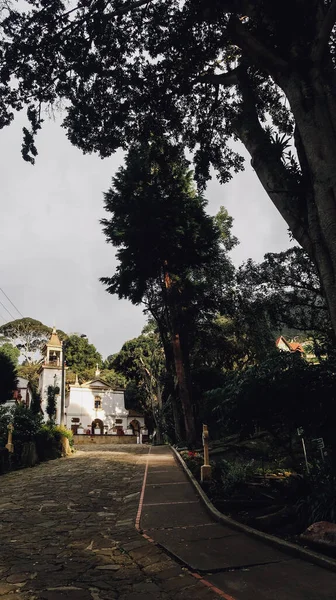 Сопо Коломбия Ноября 2019 Года Мощеная Дорога Через Сад Высокими — стоковое фото
