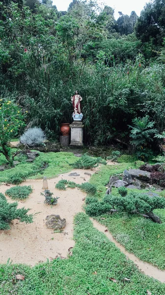 Sopo Colombie Novembre 2019 Jardin Rosiers Mexicains Blancs Sur Territoire — Photo