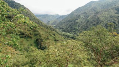 SANTANDER, COLOMBIA - CRCA Aralık 2019: Orman, yeşil tepeler ve bulutlu gökyüzü ile üzerinde dağların bulunduğu doğal manzara.