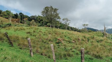 SANTANDER, COLOMBIA - CRCA Aralık 2019: Orman, yeşil tepeler ve bulutlu gökyüzü ile üzerinde dağların bulunduğu doğal manzara.