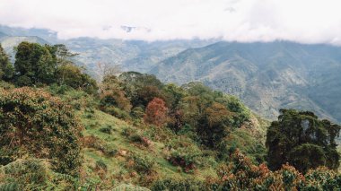SANTANDER, COLOMBIA - CRCA Aralık 2019: Orman, yeşil tepeler ve bulutlu gökyüzü ile üzerinde dağların bulunduğu doğal manzara.