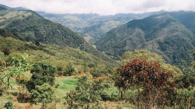 SANTANDER, COLOMBIA - CRCA Aralık 2019: Orman, yeşil tepeler ve bulutlu gökyüzü ile üzerinde dağların bulunduğu doğal manzara.