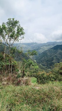 SANTANDER, COLOMBIA - CRCA Aralık 2019: Orman, yeşil tepeler ve bulutlu gökyüzü ile üzerinde dağların bulunduğu doğal manzara.