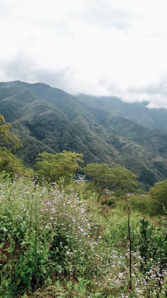 Santander Colombia Circa Grudzień 2019 Widok Naturalnego Krajobrazu Lasem Zielonymi — Zdjęcie stockowe