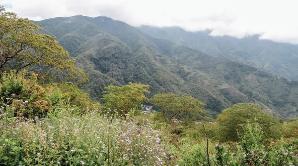 Santander Colombia Circa Grudzień 2019 Widok Naturalnego Krajobrazu Lasem Zielonymi — Zdjęcie stockowe