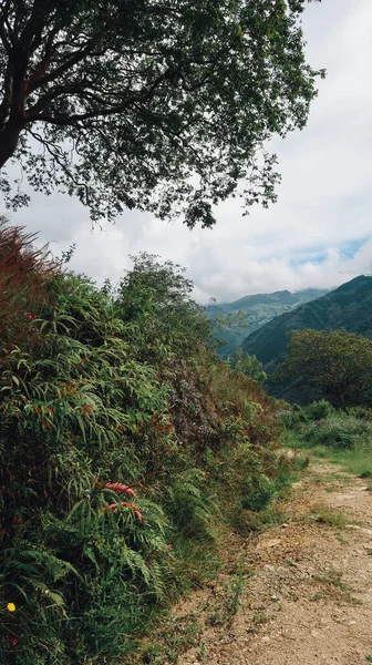 Santander Colombia Circa Grudzień 2019 Widok Naturalnego Krajobrazu Lasem Zielonymi — Zdjęcie stockowe