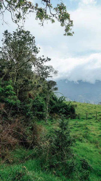 Santander Kolumbien Circa December 2019 Blick Auf Natürliche Landschaft Mit — Stockfoto