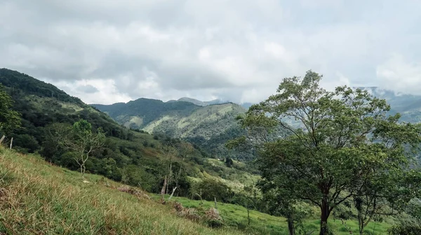 Santander Kolumbien Circa December 2019 Blick Auf Natürliche Landschaft Mit — Stockfoto