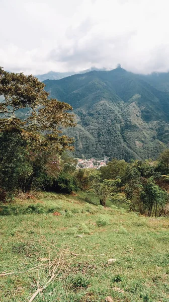 Santander Kolombie Circa Prosinec 2019 Pohled Přírodní Krajinu Lesy Zelenými — Stock fotografie