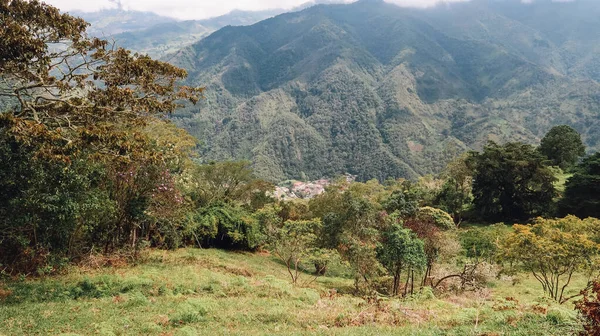 Santander Colombia Circa Grudzień 2019 Widok Naturalnego Krajobrazu Lasem Zielonymi — Zdjęcie stockowe