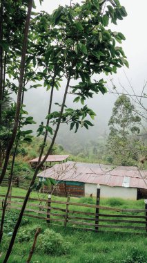 SANTANDER, COLOMBIA - CIRCA Aralık 2019: Yağmurlu bir günde arka planda doğal orman manzarası, yeşil tepeler ve dağlar.