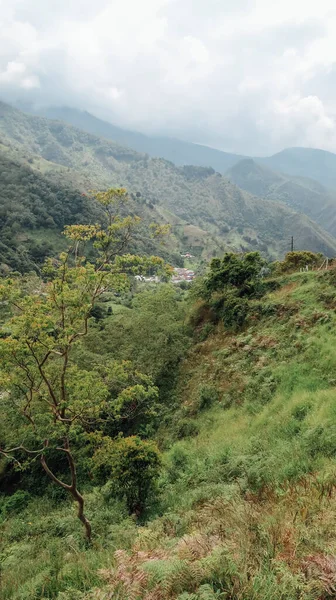 Santander Colombia Circa Grudzień 2019 Widok Naturalnego Krajobrazu Lasem Zielonymi — Zdjęcie stockowe