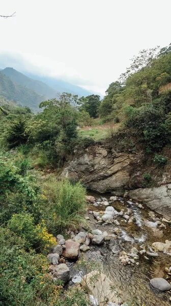 Santander Kolombie Circa Prosinec 2019 Říčka Přírodní Krajině Lesy Zelenými — Stock fotografie