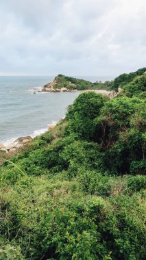 TAYRONA, COLOMBIA - CRCA Aralık 2019: Güneşli bir günde tropikal doğa, yeşil ormanlar ve Karayip denizinin mavi suları.