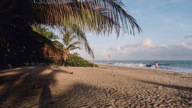 TAYRONA, COLOMBIA - CRCA Aralık 2019: Güneşli bir günde Tayrona Ulusal Parkı 'nda palmiye ağaçları ve Karayip deniziyle dolu boş kumsal.