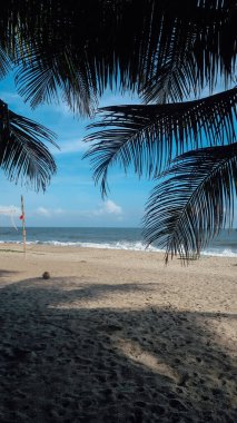 TAYRONA, COLOMBIA - CRCA Aralık 2019: Güneşli bir günde Tayrona Ulusal Parkı 'nda palmiye ağaçları ve Karayip deniziyle dolu boş kumsal.