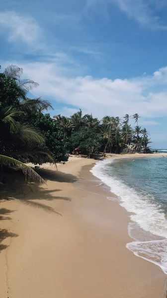 Tayrona Colombia Crca Aralık 2019 Güneşli Bir Günde Tayrona Ulusal — Stok fotoğraf