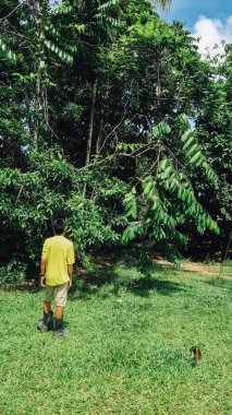 LETİKYA, AMAZONAS, KOLOMBİYA - ÇİRKA Aralık 2019: ormanlarda yaşayan Amazon komünü toprakları.