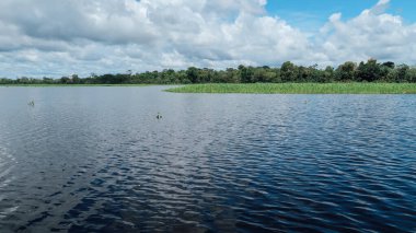 LETICIA, AMAZONAS, COLOMBIA - CRCA Aralık 2019: Güneşli bir günde Amazon 'da yeşil çimen ve bitkilerle kaplı göl.