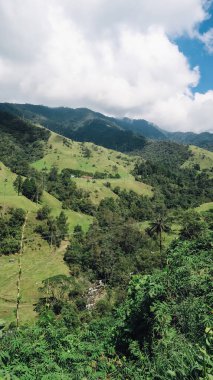 SALENTO, COLOMBIA - CIRCA HAZİRAN 2020: Beyaz bulutlu güneşli bir günde Cocora Vadisi 'ndeki yeşil dağlar, tepeler ve yüksek palmiye ağaçları manzarası.