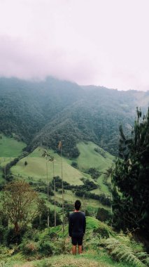 SALENTO, COLOMBIA - CIRCA HAZİRAN 2020: Beyaz bulutlu güneşli bir günde Cocora Vadisi 'ndeki yeşil dağlar, tepeler ve yüksek palmiye ağaçları manzarası.