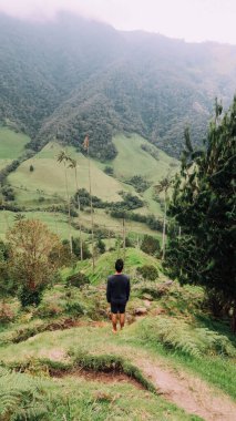 SALENTO, COLOMBIA - CIRCA HAZİRAN 2020: Beyaz bulutlu güneşli bir günde Cocora Vadisi 'ndeki yeşil dağlar, tepeler ve yüksek palmiye ağaçları manzarası.