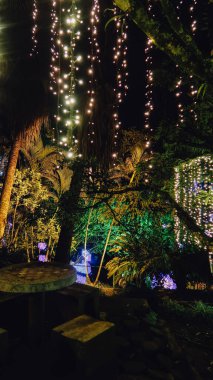 ARMENIA, COLOMBIA - CIRCA JANUARY 2020: Antioquia 'nın Ermenistan kentindeki parkta Noel süsleri ve festival ışıkları.